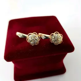 brilliant gulakhalka