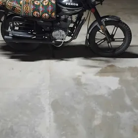 Fekon FK150-8G 2020