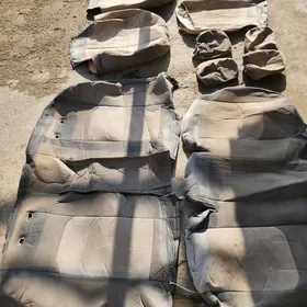 SIDENŸA ÇEHOL KOMPLEKIT