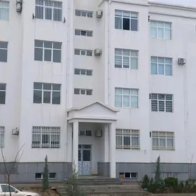 ARENDA ANEW POL ELITKA