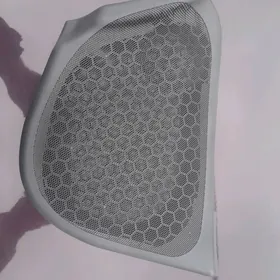 Vektra b asipka setga