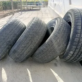 pakryşka 265.70.16.