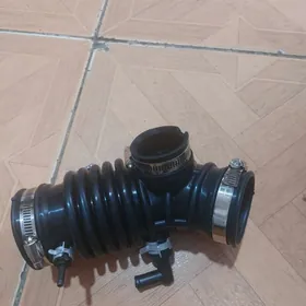 SUNNY WOSDUH PATRUBKA