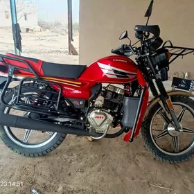 Fekon FK200-14G 2026