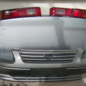 лисичка шайлар