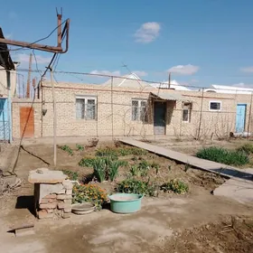 Tolstoy kocede satlyk jay