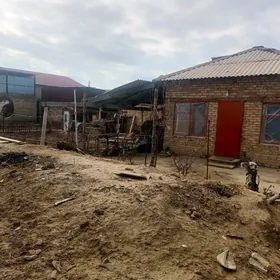 Satlyk Gystagly Zaton Daca