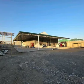 Anew Magtymguly Plan