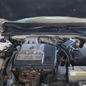 awalon duty  2 sany galowka ba