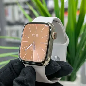 Apple Watch 8 45mm Steinles