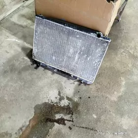 радиатор Siena 2000