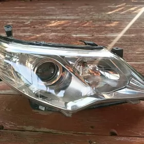 palta onki farasy haliji morda