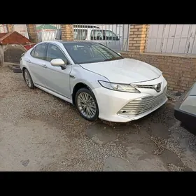 Toyota Camry 2019