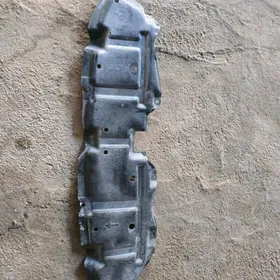 carolla zassita 02.07 aralyk