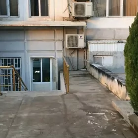 podwal / подвал / yerzemin