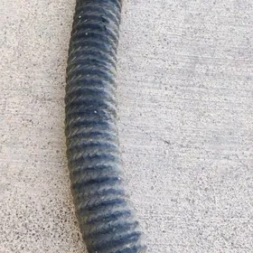 POŽARNY SUW ŞLANGA