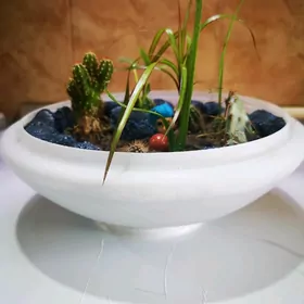 Подарочная композиция