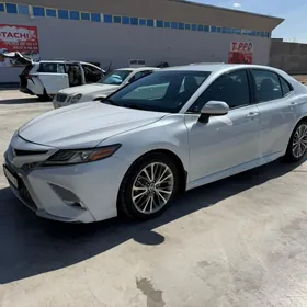 Toyota Camry 2019