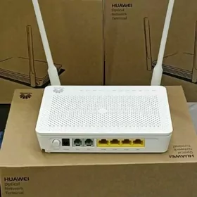 Gpon router