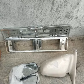 Бабочка задний вид