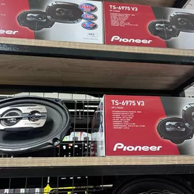 Pioneer kalonka gawun nikel