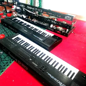 Roland-D20
