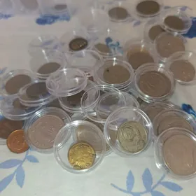 монеты