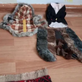 одежда для собачки