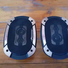 Pioneer 550v V3 Arginal