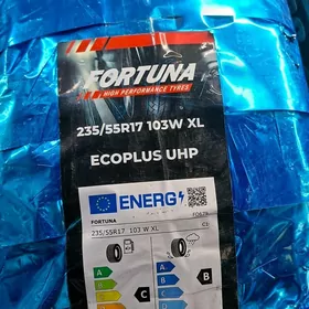 FORTUNA 25YYL 2355517 4ST 4400