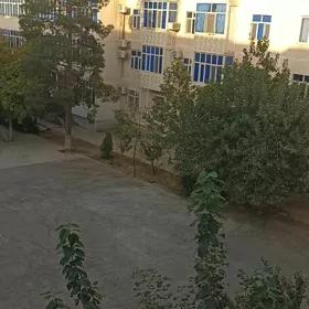 ARENDA JAY MIR 1  1 KOM