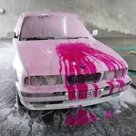 BMW E34 1993