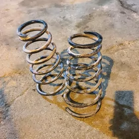 babiçka lisicga puržin