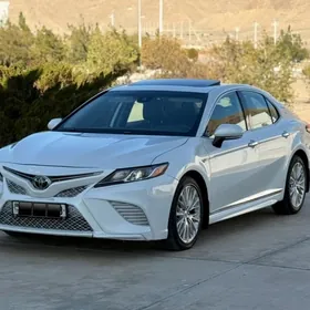 Toyota Camry 2020