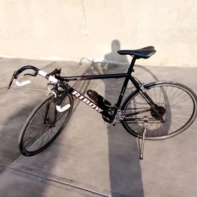 рыбов спартивни