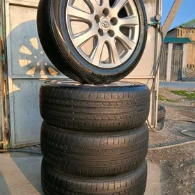 Arginal 17 Disga Teker Ýyly 24