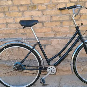 26 welsepet tigir welsopet kam