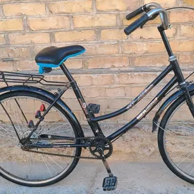 welik kama welsopet tigir