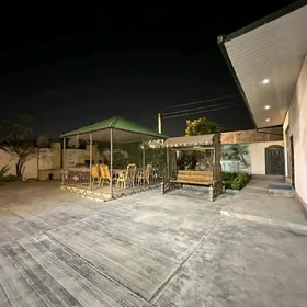 Satlyk Coganly Arkac katej Ful