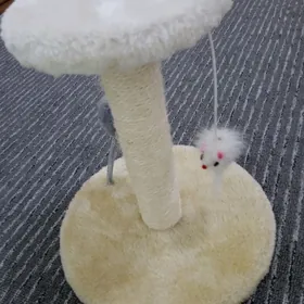 КОГТЕТОЧКА