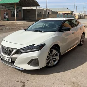 Nissan Maxima 2019