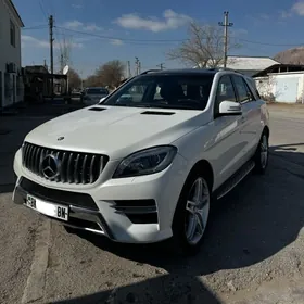Mercedes-Benz ML350 2012