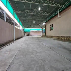 Taze gamide arenda boş howly