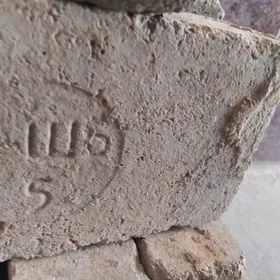 Agnaporny kerpic palawina