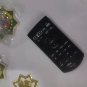 PIONEER arginal pulty