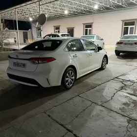 Toyota Corolla 2020