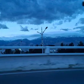 Гресс от хозяина