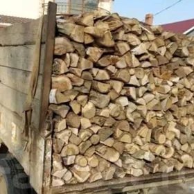 ODUN🪵ДРАВА(MANGAL)