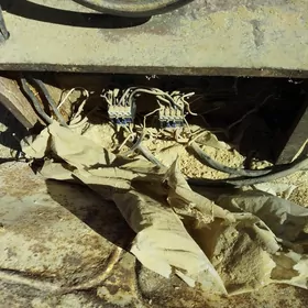 ağaç stanok resmus