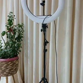 кольцевая лампа